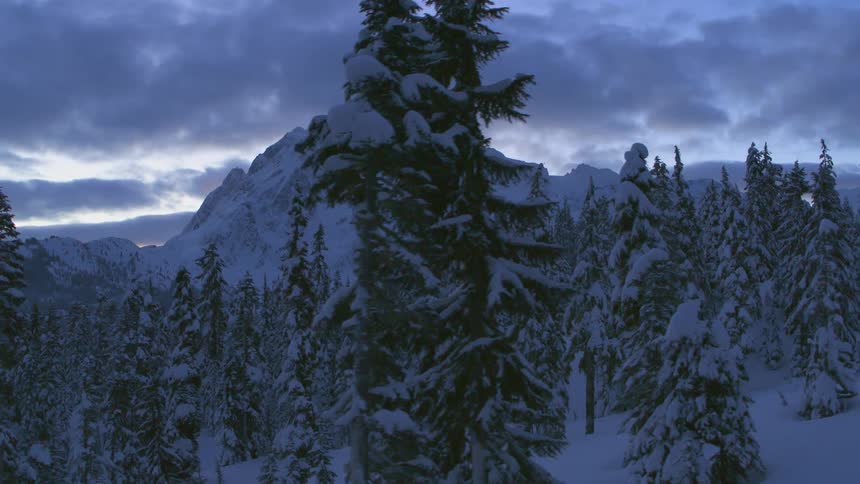 Traverse through the trees of a snow covered forest with beautiful mountains in the distance under a dramatic sky