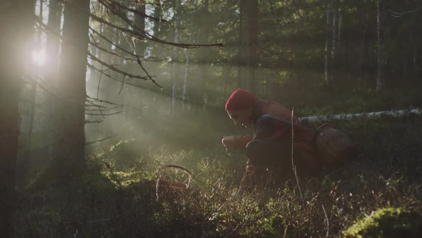 A man is kneeling down in a forest area and collecting some leaves