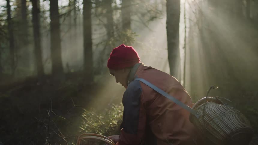 Man with red beanie and coat crouching down picks plants and puts them in basket