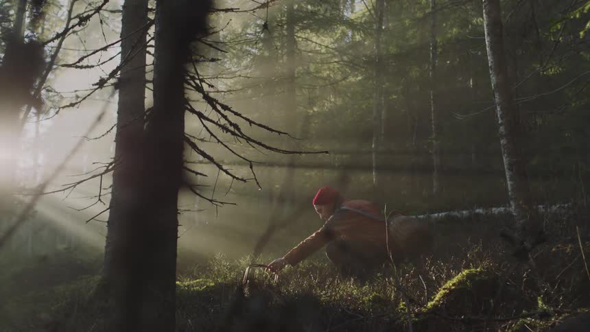A man in a forest at sunrise places a basket down in the grass and then squats