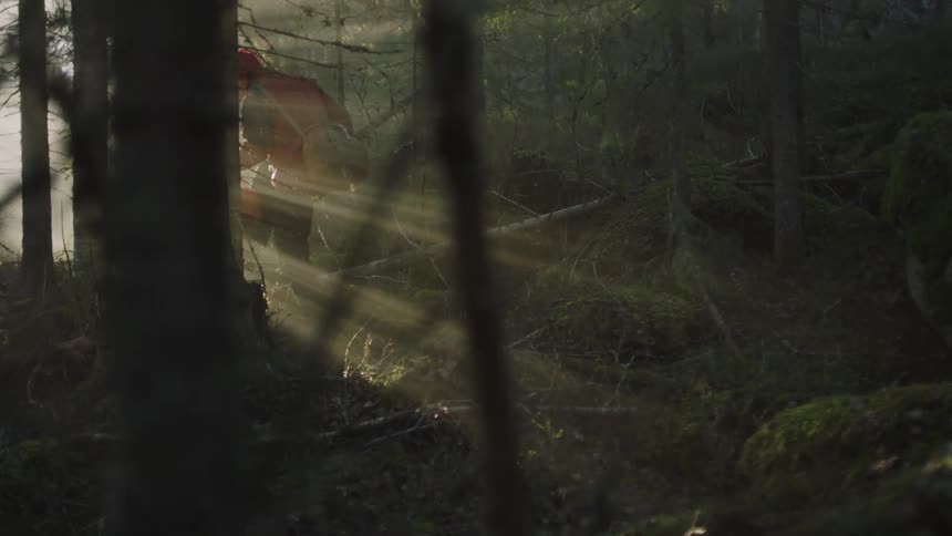 The silhouette of a person hiking through the forest as the sun shines brightly