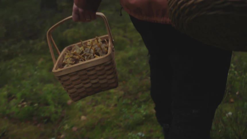 A person is walking outdoors and holding a basket