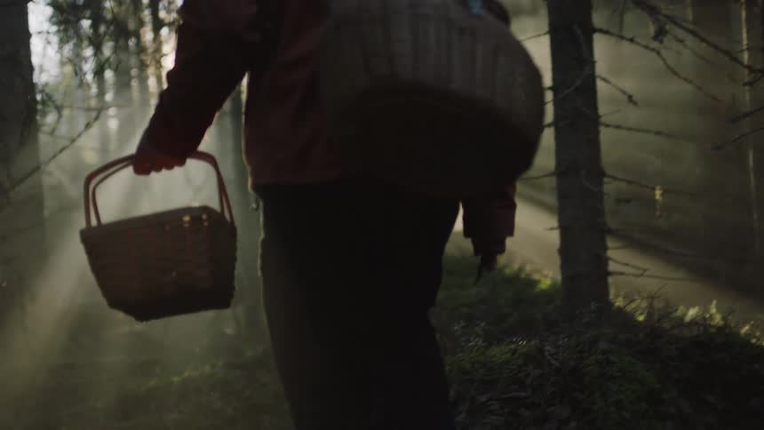 A man carrying two baskets and a knife forages for mushrooms in the woods