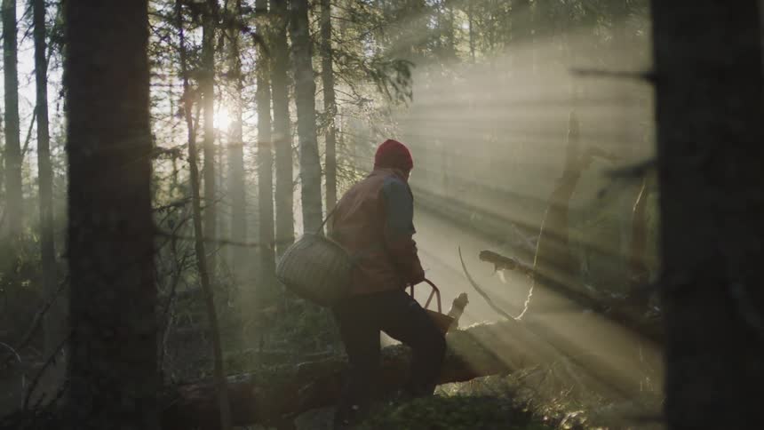 A man creeps through the forest carrying a picnic basket