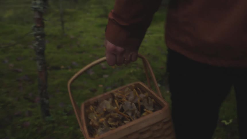 A person is carrying a basket and hiking through a forest