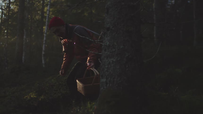 An elderly man in a forest bends down and sets a basket on the ground