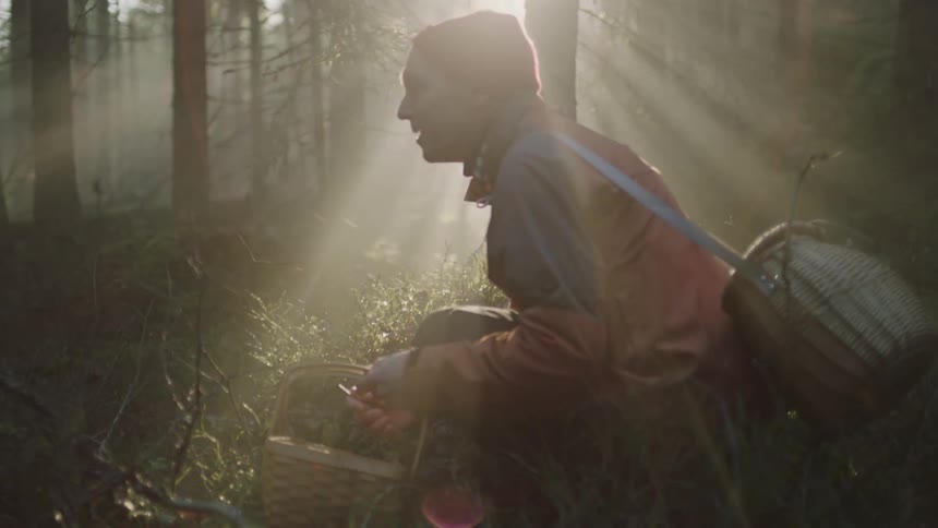 A man in a hat crouching in a sunny forest with a picnic basket
