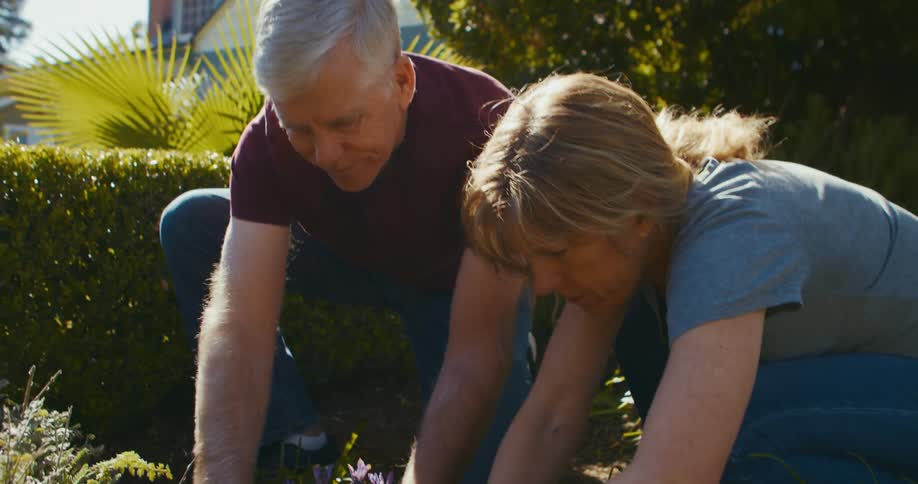 Couple plants flowers in garden together with house in background