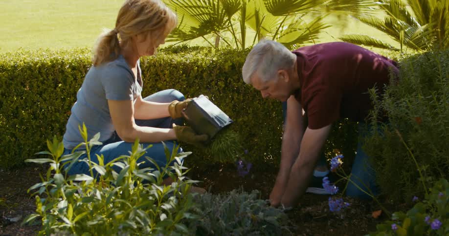 A man and woman planting flowers in their yard on a sunny summer day