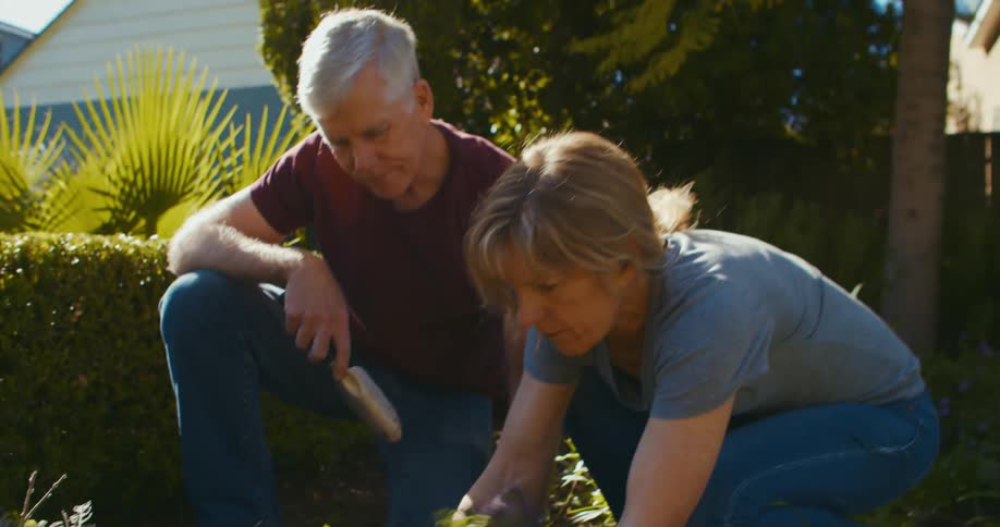 A man holds a trowel as he watches his wife plant flowers in a garden