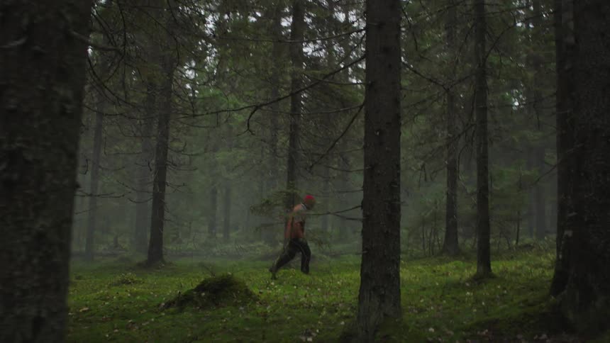 A man is hiking in the woods in spring