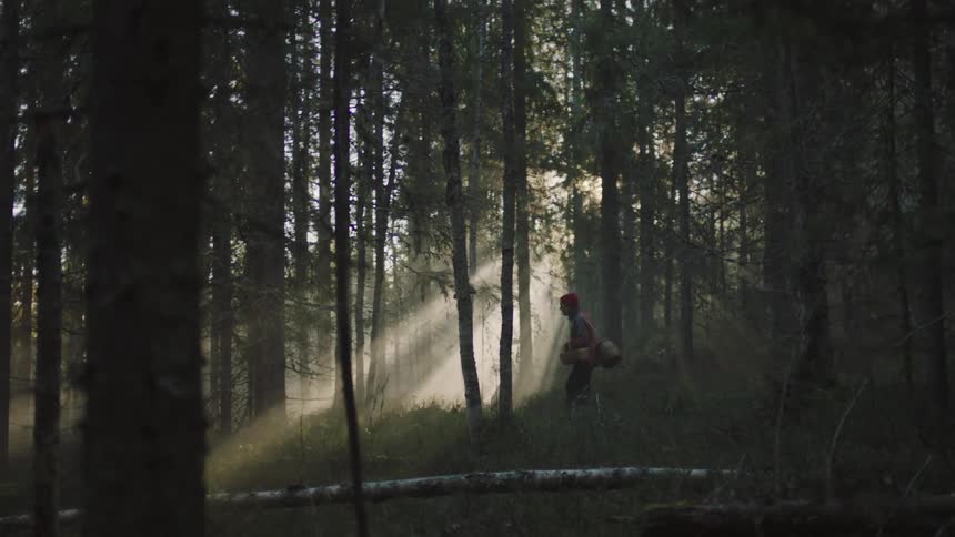 Man with red beanie and a basket walks in the woods as the sun shines through trees