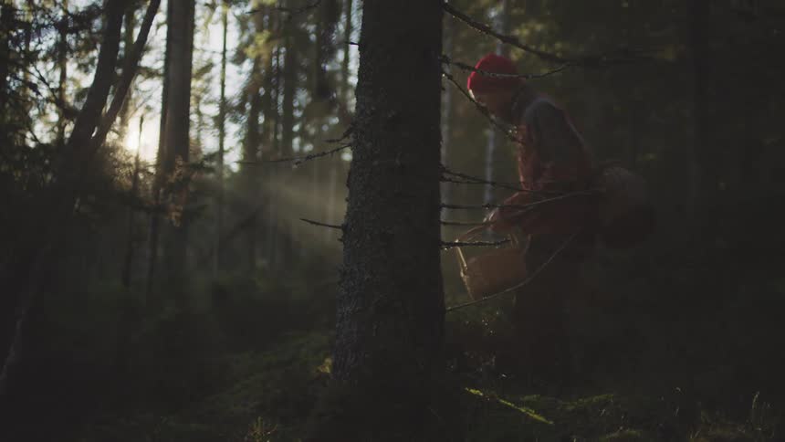 Man stands in forest holding baskets as sun shines through trees