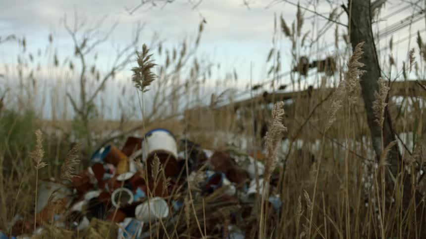 Tall grass blows in the breeze near a heap of storm debris