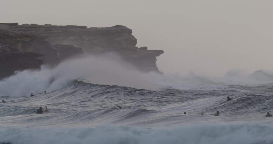 A group of people are swimming in the ocean