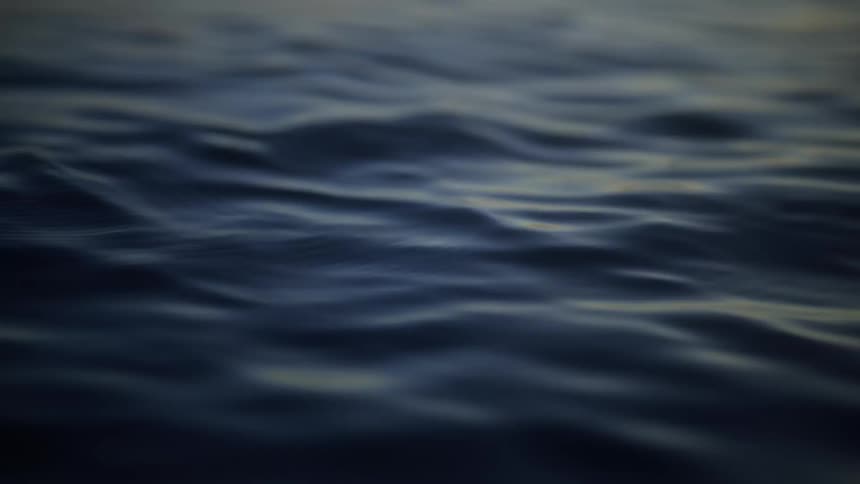 Light reflecting on water waves and ripples