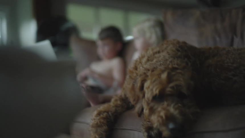 Dog sitting next to a girl and boy looking at a laptop on the couch