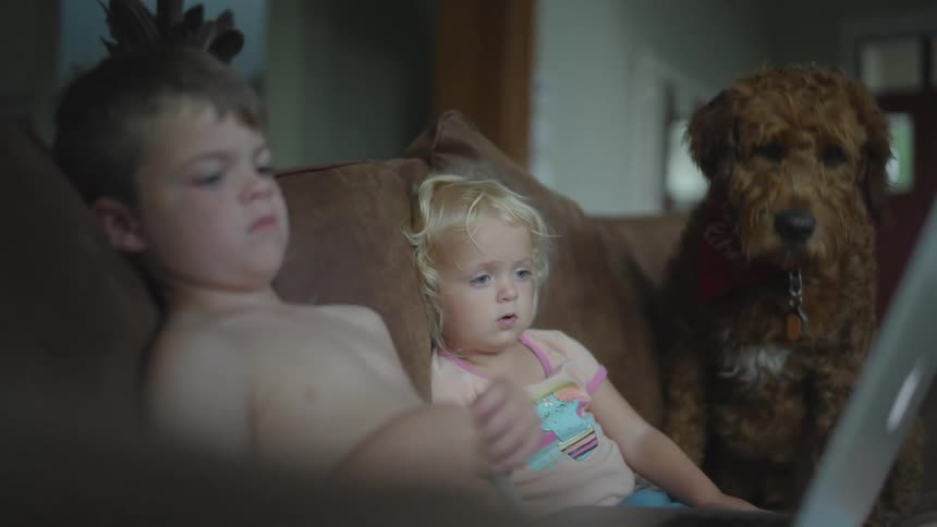 Girl sitting on couch with brother turns to watch curly haired dogs actions