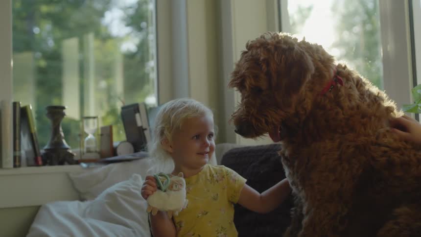 A young boy is sitting on a couch petting a dog