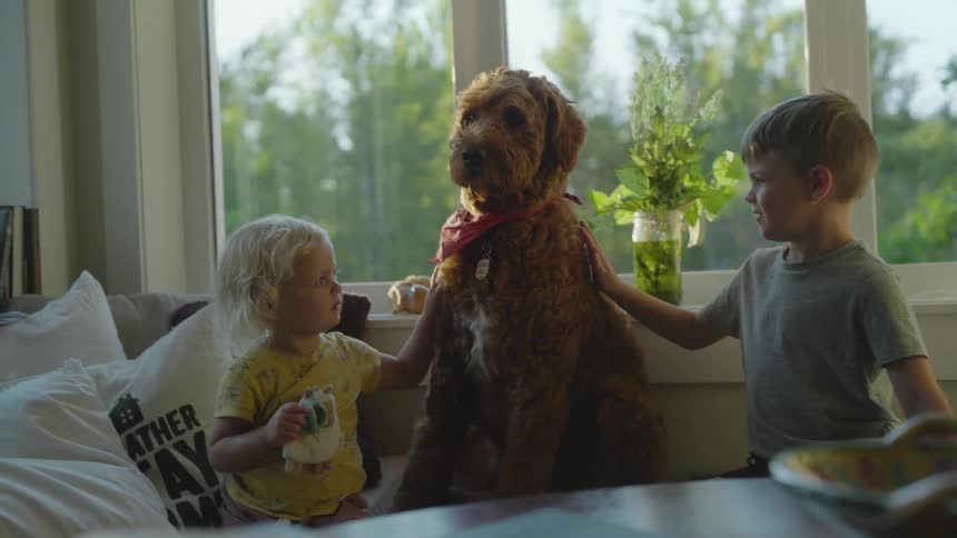 Two young boys sitting on a couch are petting a very patient large dog