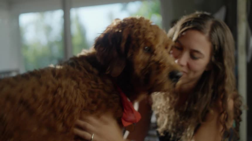 A woman in a room petting a dog with chairs and windows in the background