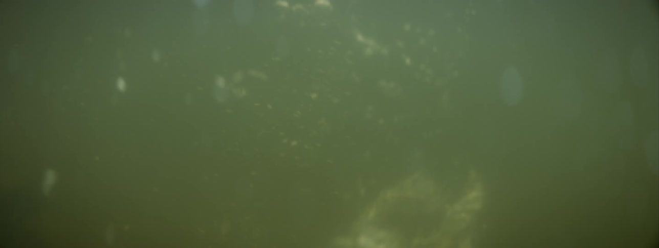 Person moves arm generating bubbles as they swim through murky water