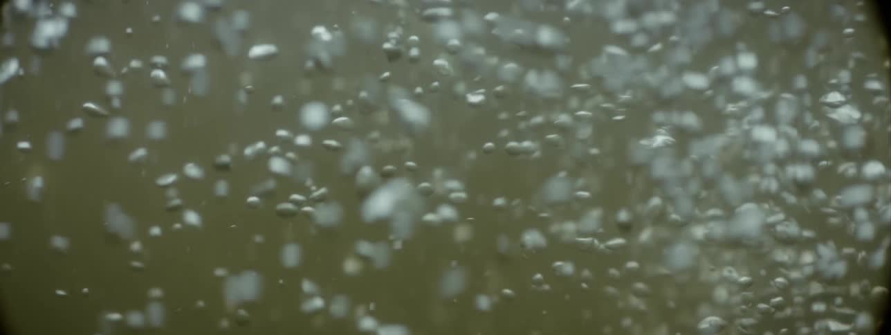 A branch and leaves and other debris float under the surface of dirty river water