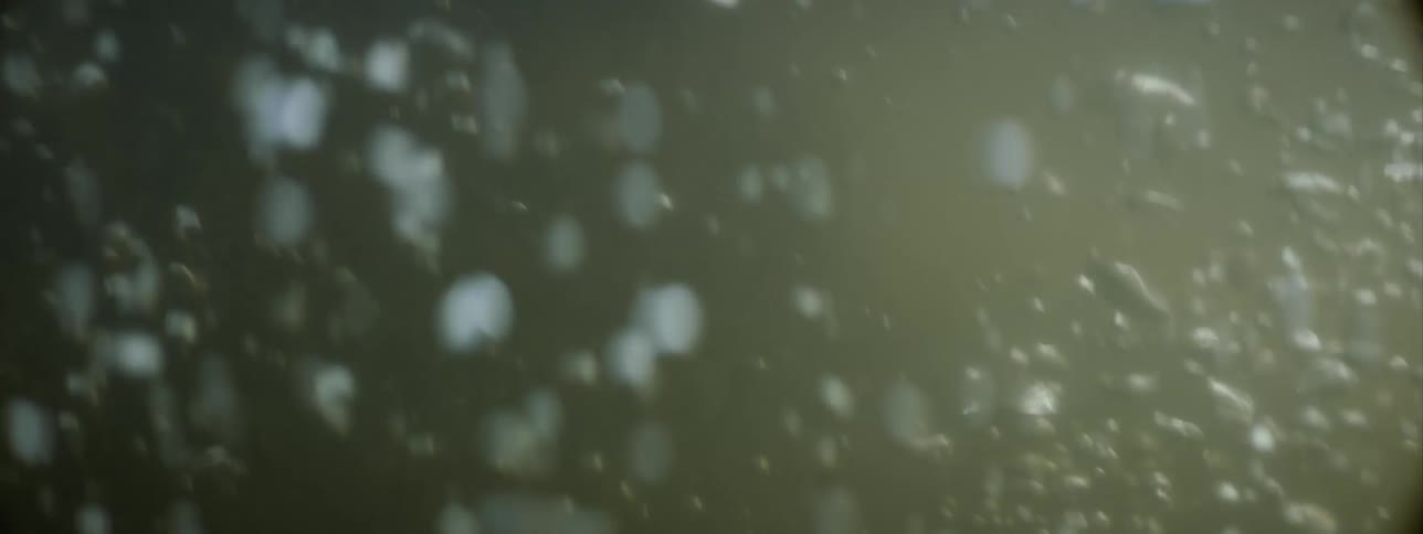 Person moves through murky water creating bubbles with their motion