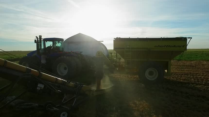 A large farm vehicle pours what it has gathered
