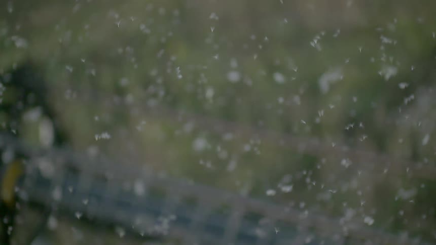 A tractor is gathering cotton putting pieces in the air