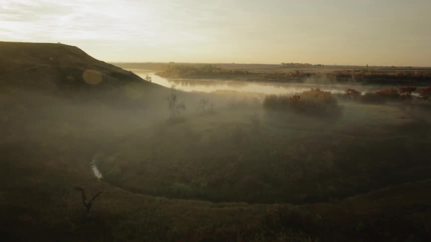 A foggy mountainside forest at dawn