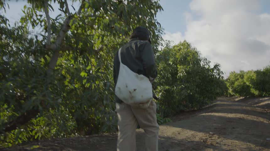 Man carries white bag along dirt road past trees under cloudy sky