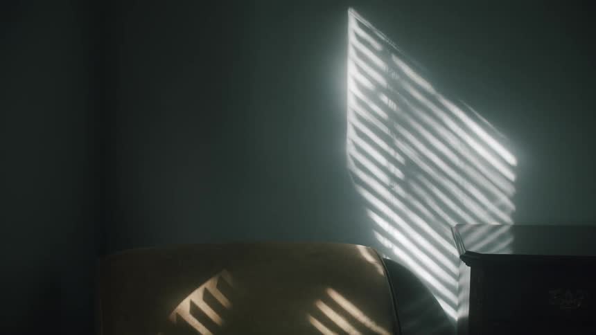 Sunlight casts a shadow of mini blinds and blowing branches on a room wall above a chair