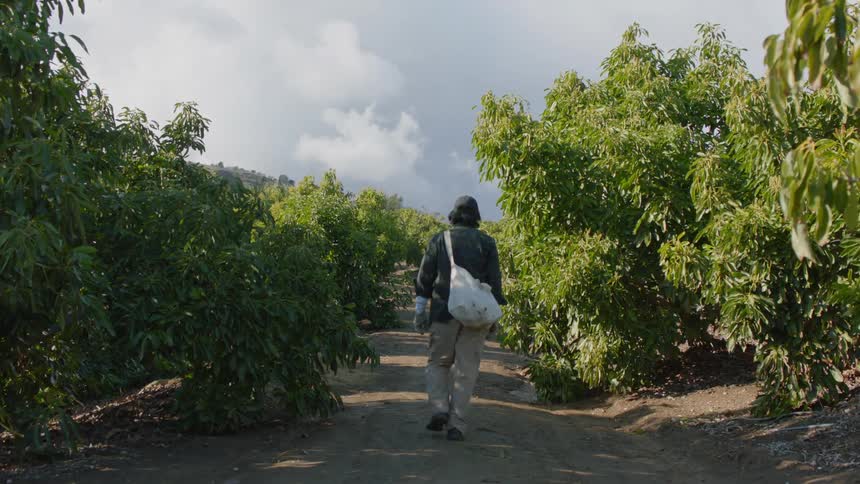 A man walking down a trail outdoors near trees