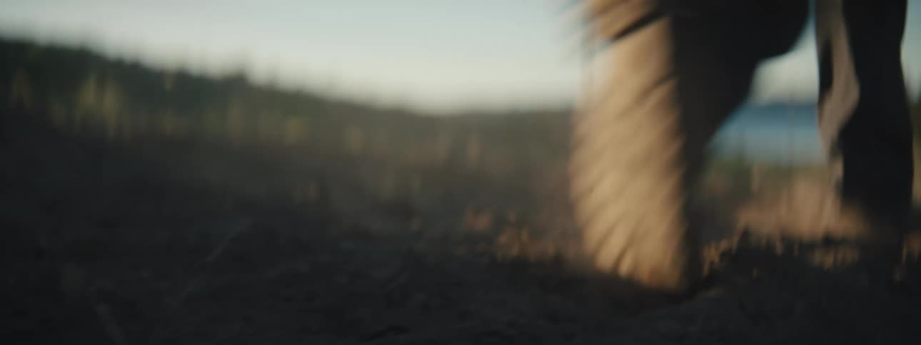 A mans boots kick up dirt as walks through a field near a pond