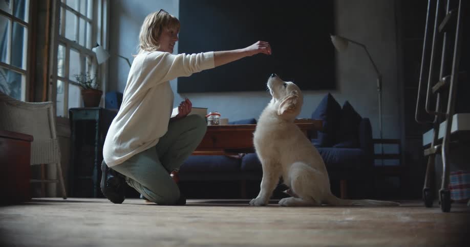 A woman is training her dog while indoors