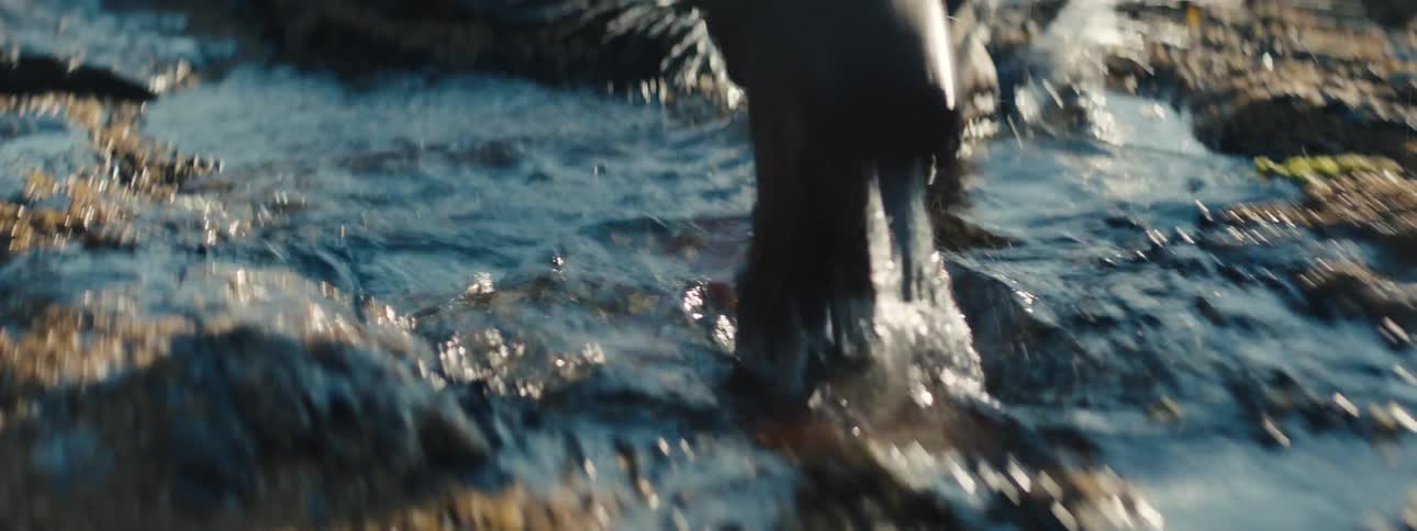 A person in boots steps over wet rocks and small puddles while walking through a tidal area