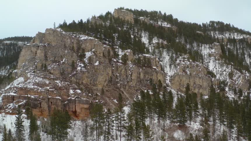 Mountain lined with trees and snow