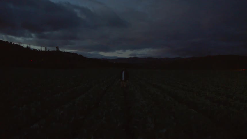 Man stands in crop field at night as bright light flows over brightening area