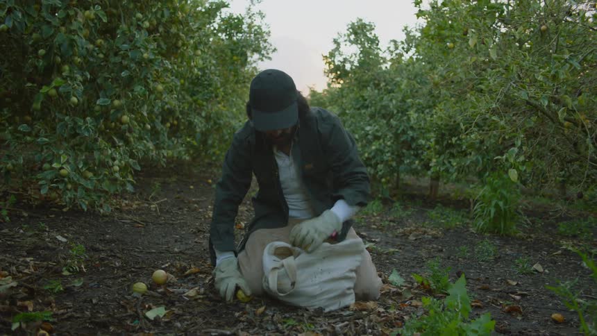 A man with a hat and gloves putting fruit in a bag with the sky and clouds in the background