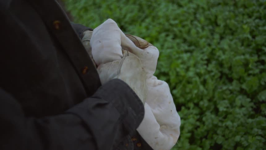 A man with gloves standing on a field with the sky and clouds in the background