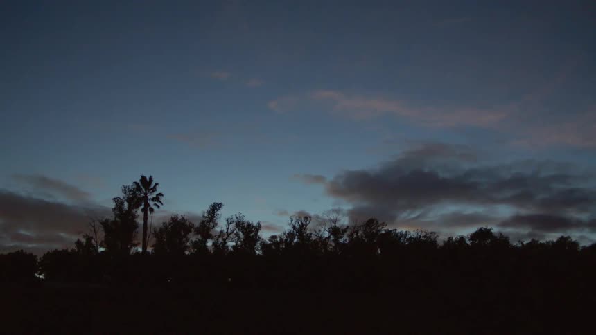 Trees are silhouetted against blue sky at sunset