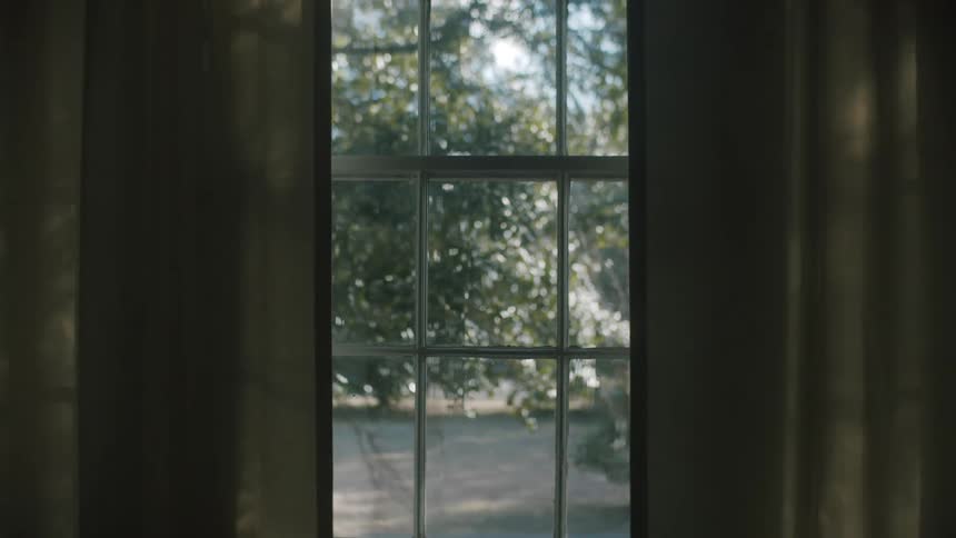 Looking out the window of a house at some trees