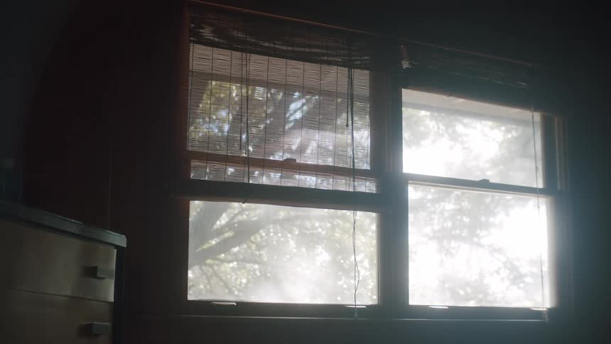 Sunlight is shining through the window in the house