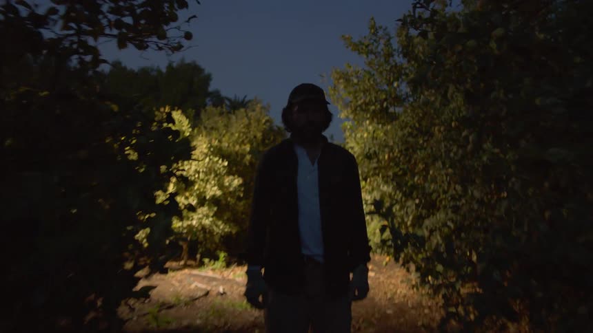 A middle aged man stares into the approaching camera while standing outdoors surrounded by small trees at night