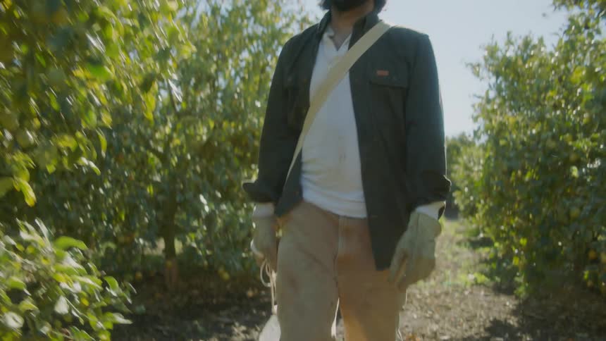 A man carrying a large bottle of water walks through an orange orchard