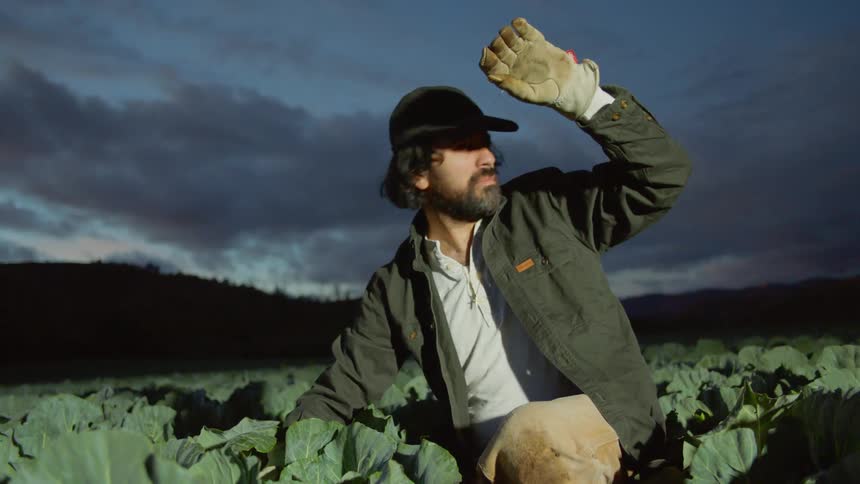 A farm worker shields his eyes as a bright light shines on him as he crouches in a field of crops