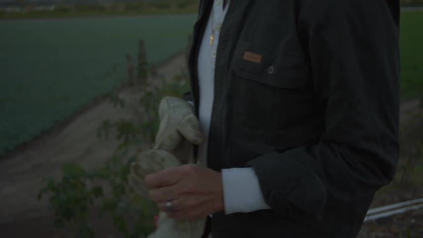 A man walking through an orchard takes his gloves off