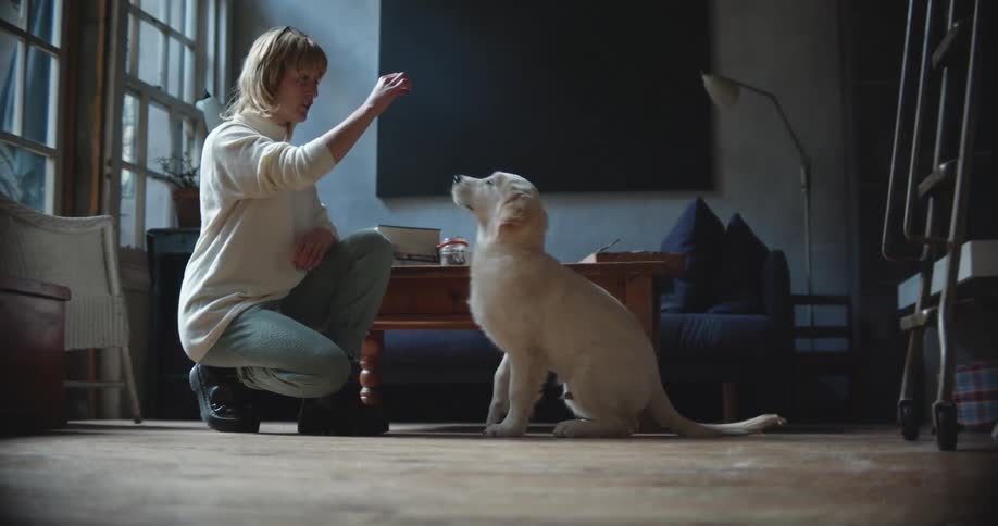 A woman in a room training a dog with a wall and a couch in the background