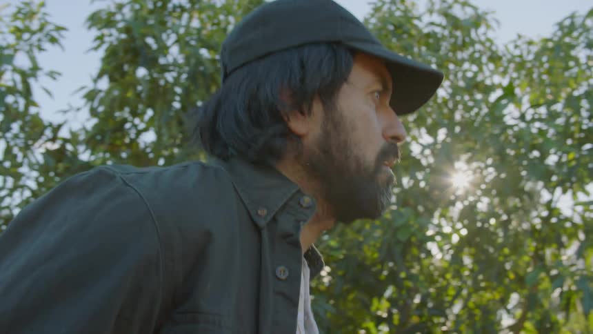 A man wearing a cap with a bag on his back walks past fruit trees on a bright sunny day